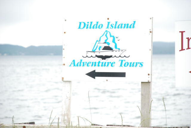 Dildo Island